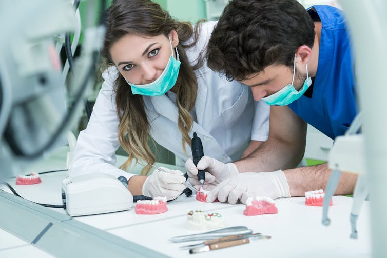 Dental students looking at dentures at university