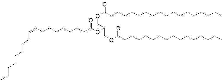 Triglyceride molecule