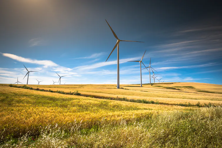 Wind turbines in field