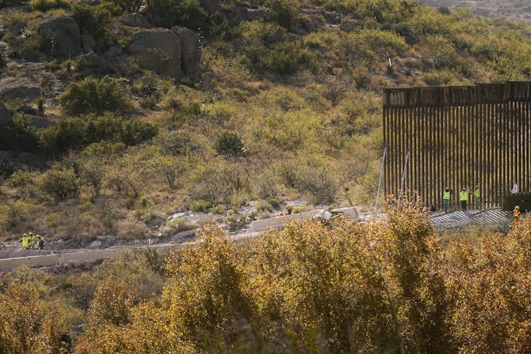 Workers adding slats to a barrier across shrub-covered land.