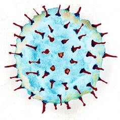 A watercolour illustration of a light blue coronavirus with red spikes