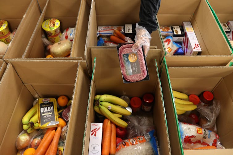 Hand placing food into boxes.