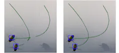 Courbe de trajectoires de deux abeilles qui se croisent. Dans l’image de gauche, le croisement est cohérent. Dans l’image de droite, l’une des trajectoires s’arrête pendant que l’autre revient en arrière pour faire une fourche