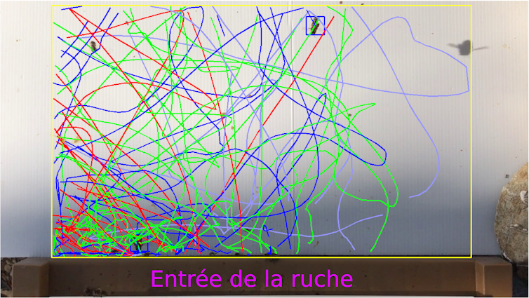 Dizaines de traits colorés qui se croisent, sans pattern évident