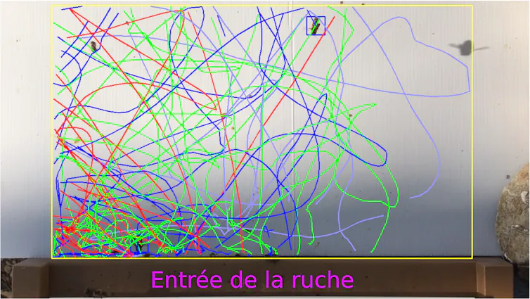 Dizaines de traits colorés qui se croisent, sans pattern évident