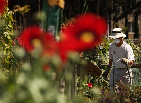 The pandemic's gardening boom shows how gardens can cultivate public health