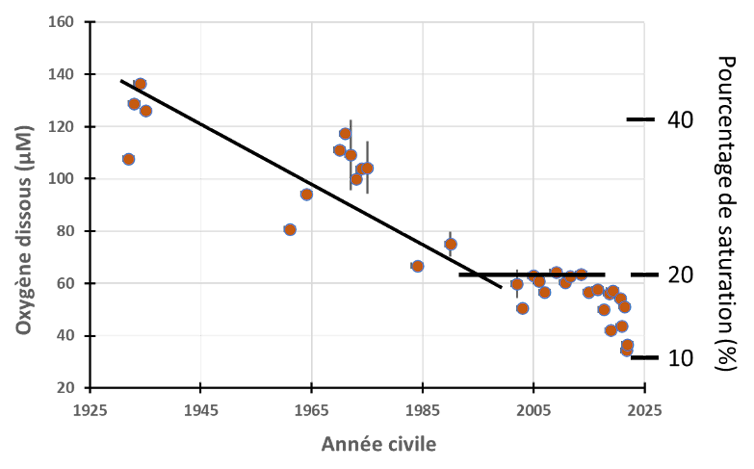 graphique