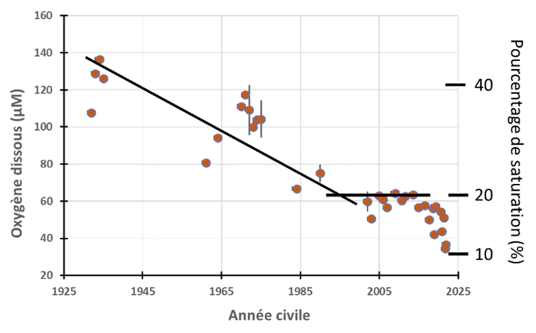 graphique
