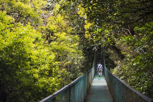 Protecting biodiversity – and making it accessible – has paid off for Costa Rica