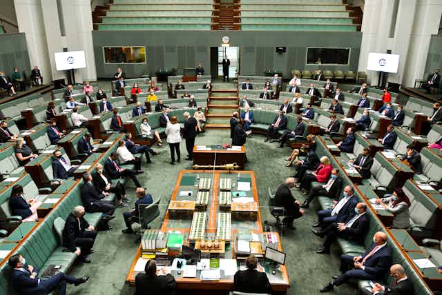 Lower house MPs in the chamber