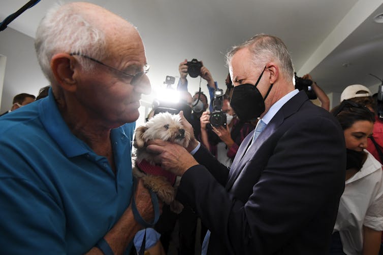 Anthony Albanese greets a dog.