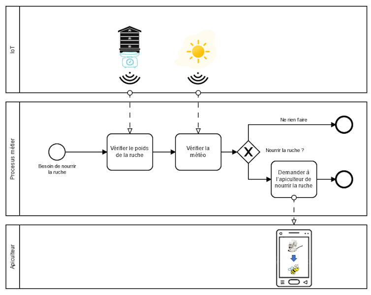 Diagramme de décision pour estimer s’il faut nourrir la ruche ou non en fonction de son poids et de l’environnement, et envoyant une alerte à l’apiculteur via son smartphone si la réponse est positive