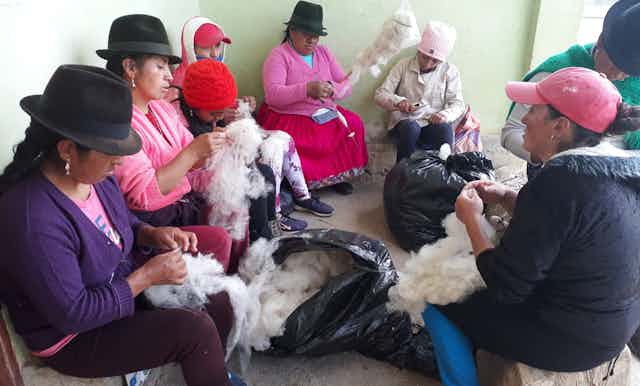 Women sit together in a circle, many wearing hats and tidying up alpaca wool