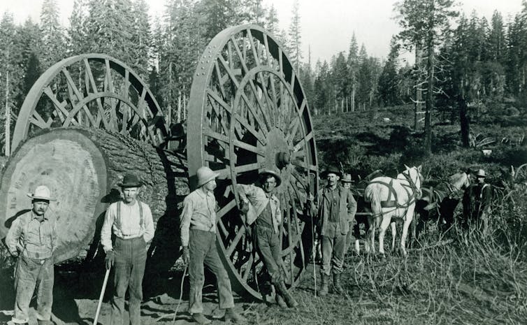 Black and white scene of workers in 1895