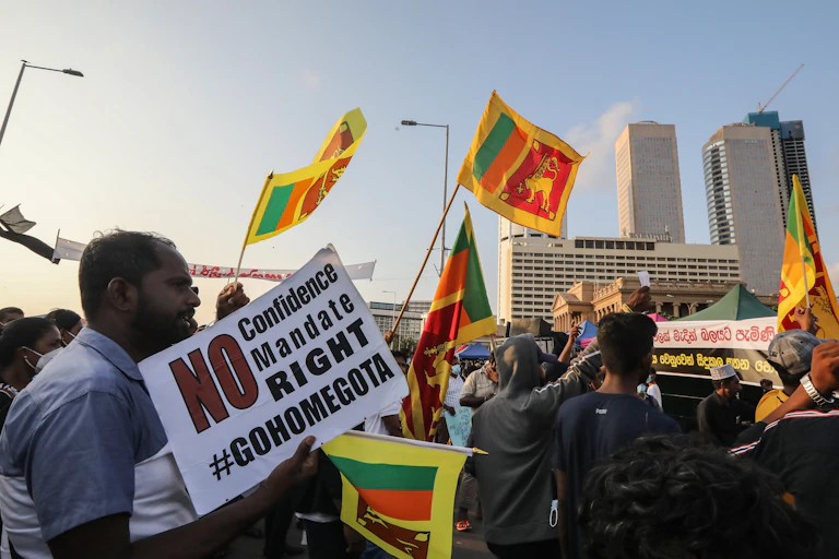 Protestors with flags and placards in Colombo