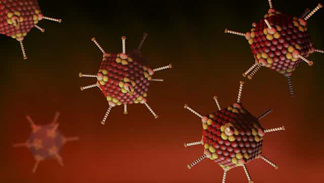 Ilustración de un adenovirus. Icosaedros rojos.