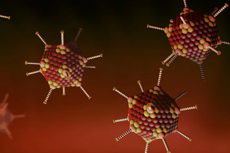 Ilustración de un adenovirus. Icosaedros rojos.