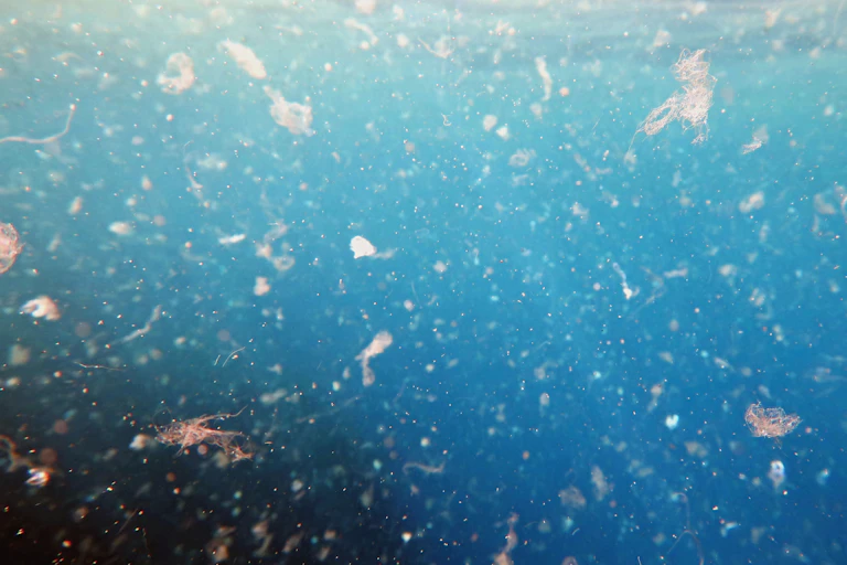 Microplastics floating in marine water