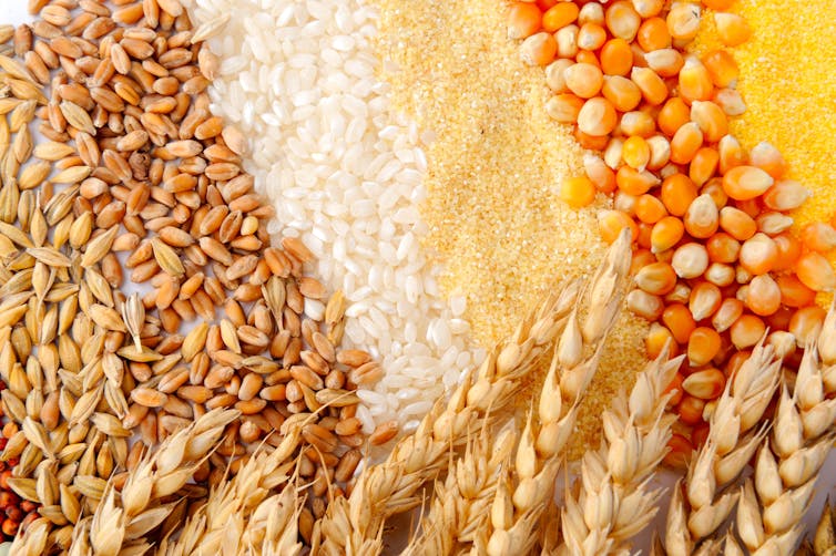 Wheat corn and rice piles