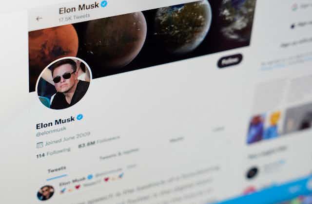 Elon Musk's Twitter account page