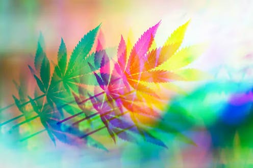 Riset baru ungkap bagaimana ganja mempengaruhi pikiran dan emosi kita