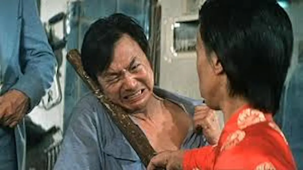 Butt plug duels and fanny pack stunts: how Everything Everywhere All At Once fits into the canon of comedy-martial arts films Butt plug duels and fanny pack stunts: how Everything Everywhere All At Once fits into the canon of comedy-martial arts films