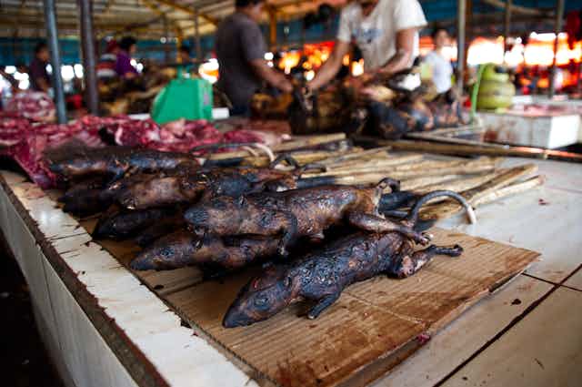 Grilled wild rats on a stick at a market