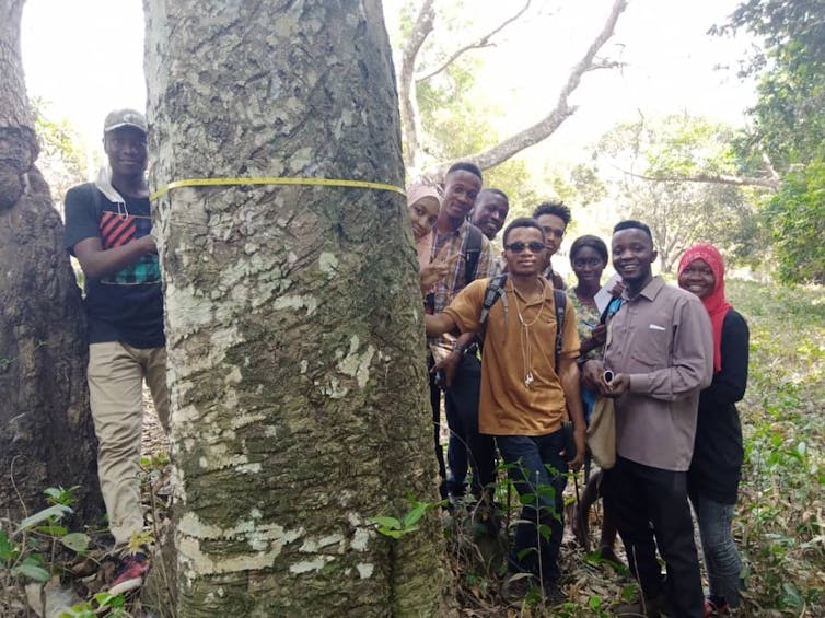 Students gather hold a measuring tape around a tree trunk.