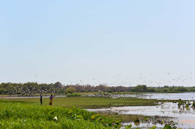 Woman and child stand in wetlands field during the day, with birds flocking around them