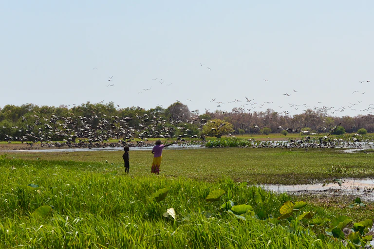 Woman and child stand in wetlands field during the day, with birds flocking around them