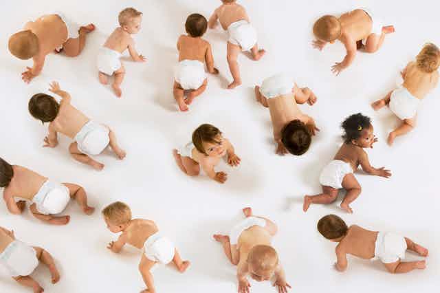 Numerous babies in diapers crawling in a white space