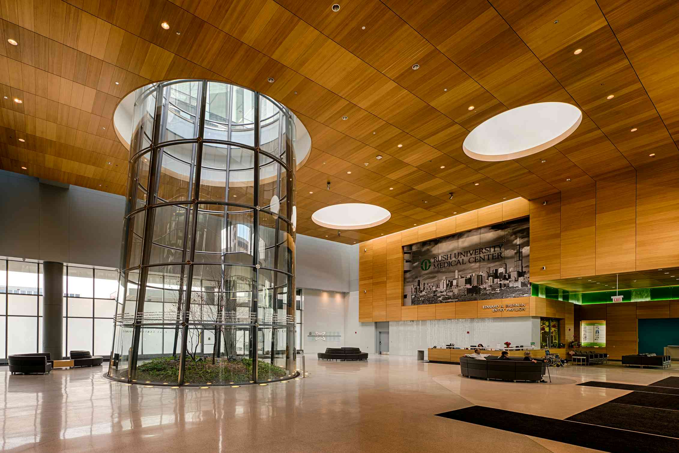 A large terrarium is seen behind a glass wall with light streaming down.