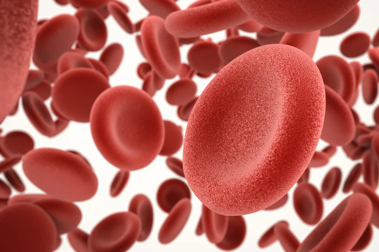 Red blood cells