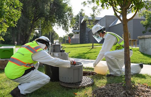 Wastewater monitoring took off during the COVID-19 pandemic – and here's how it could help head off future outbreaks