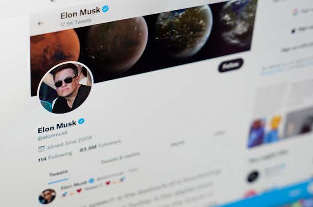 screenshot of Elon Musk's Twitter profile