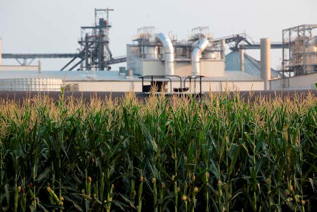 Industrial plant with a cornfield in the foreground.