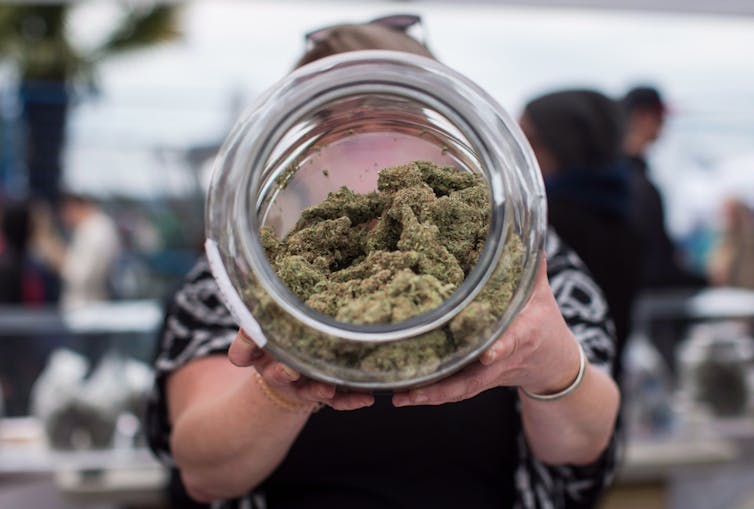 Someone holding a bowl of cannabis buds