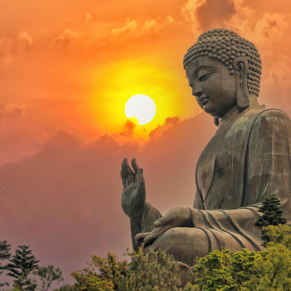 Friday essay: how the West discovered the Buddha