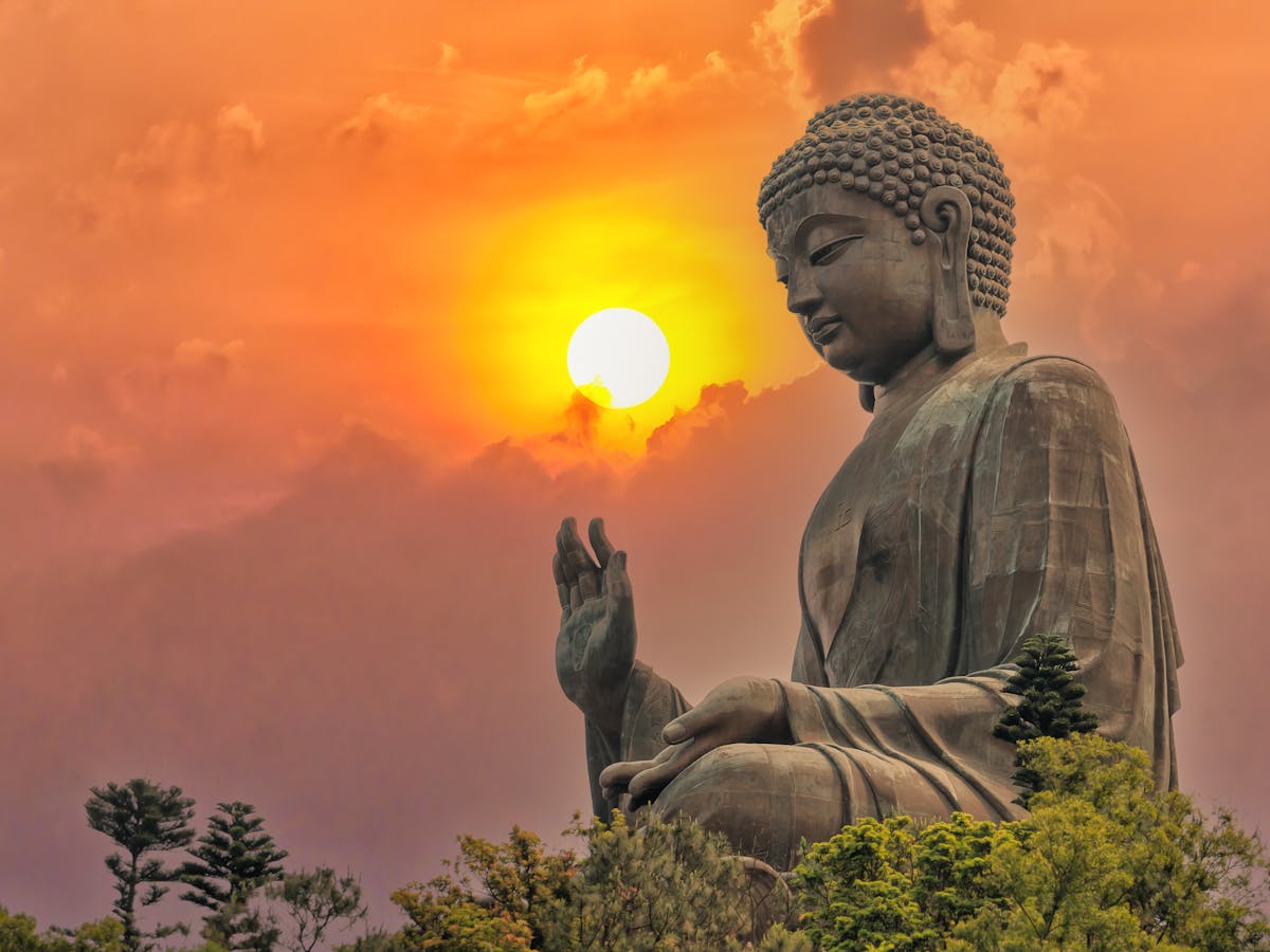 Friday essay: how the West discovered the Buddha