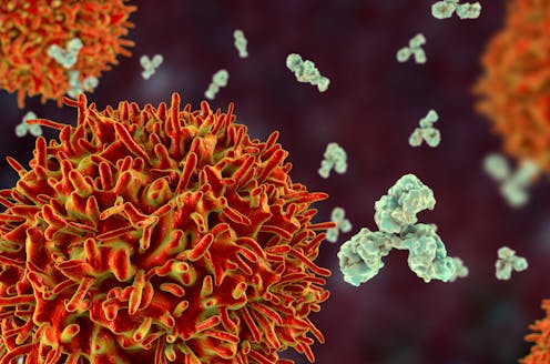 We've pinpointed blood proteins activated in the most severe cases of COVID in children