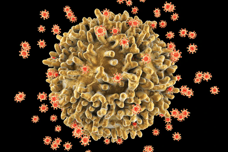 Des petites particules virales attaquent une cellule immunitaire beaucoup plus grande