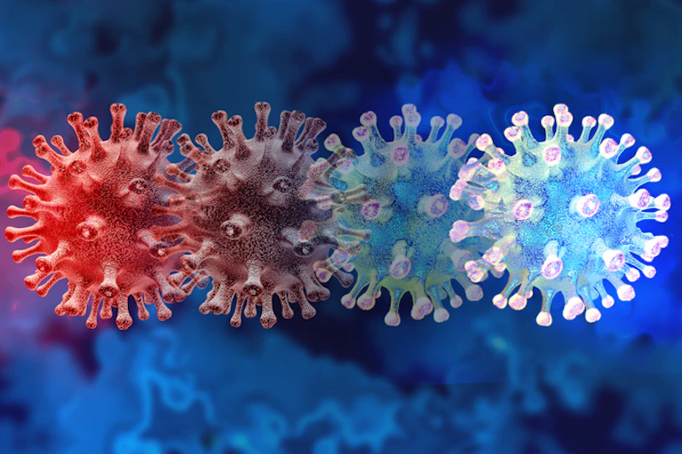 Coronavirus - 4 versions
