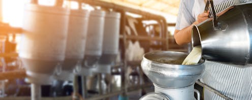 ¿Es seguro el consumo de leche cruda y productos lácteos derivados? ¿Es seguro el consumo de leche cruda y productos lácteos derivados?