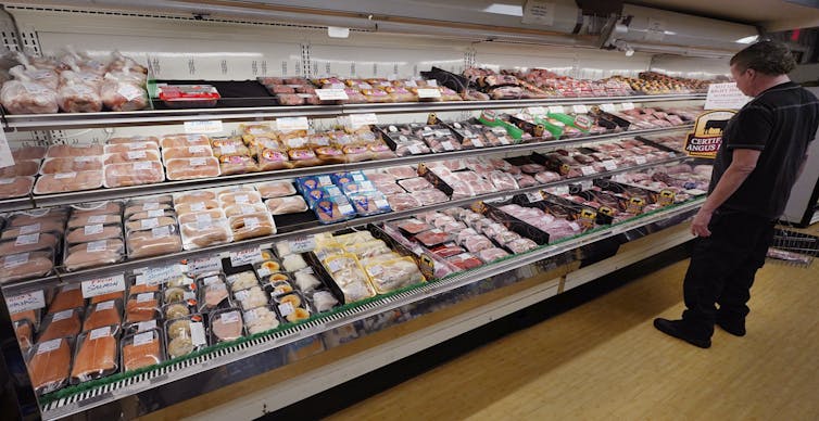 um comprador está olhando para uma exibição de supermercado de uma variedade de carnes e peixes