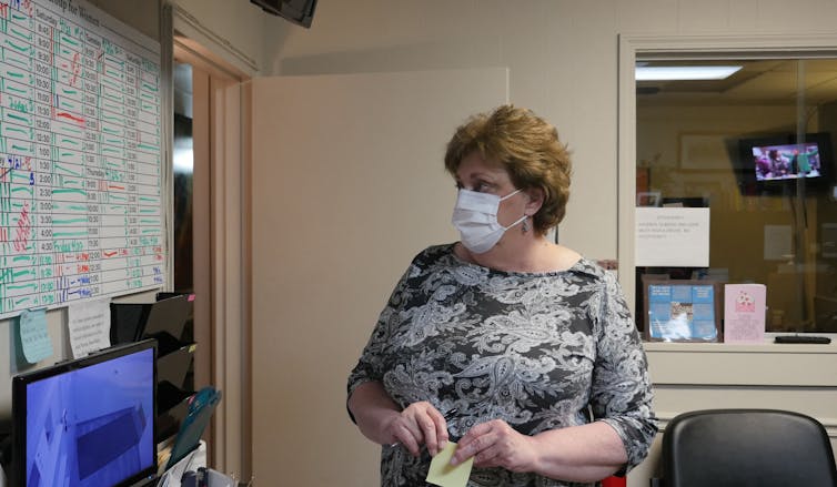 A brown haired woman wearing a gray patterned shirt and a mask looks at a whiteboard full of information in an office.