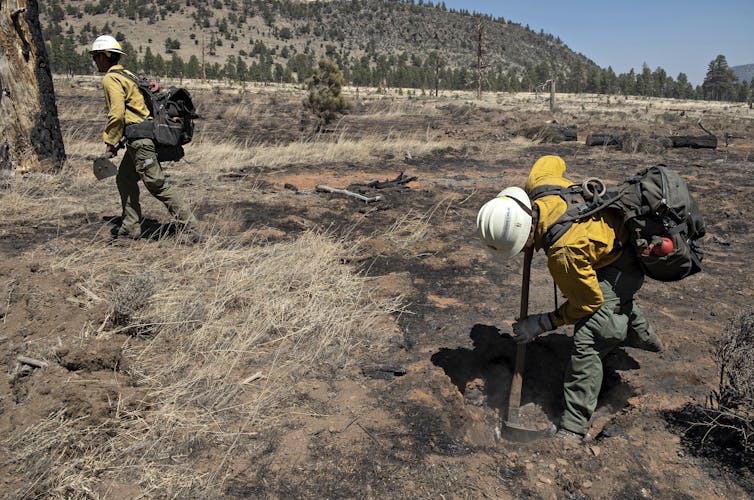 Two fire crew members use axes to chop at burning roots on a charred desert landscape.