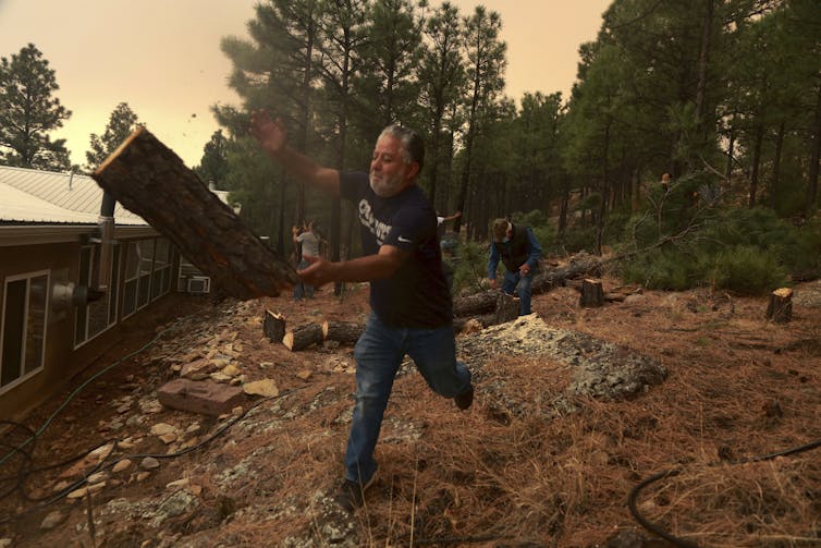A man throws a large log , just cut down, as he
                  and other clear a fire line.