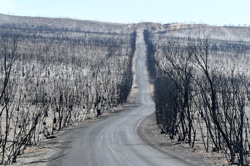Scorched dystopia or liveable planet? Here’s where the climate policies of our political hopefuls will take us