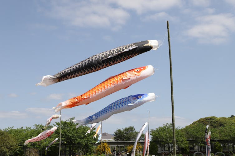 Three carp streamers against blue sky