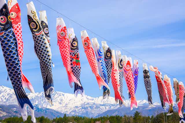 carp streamers with mountains in background